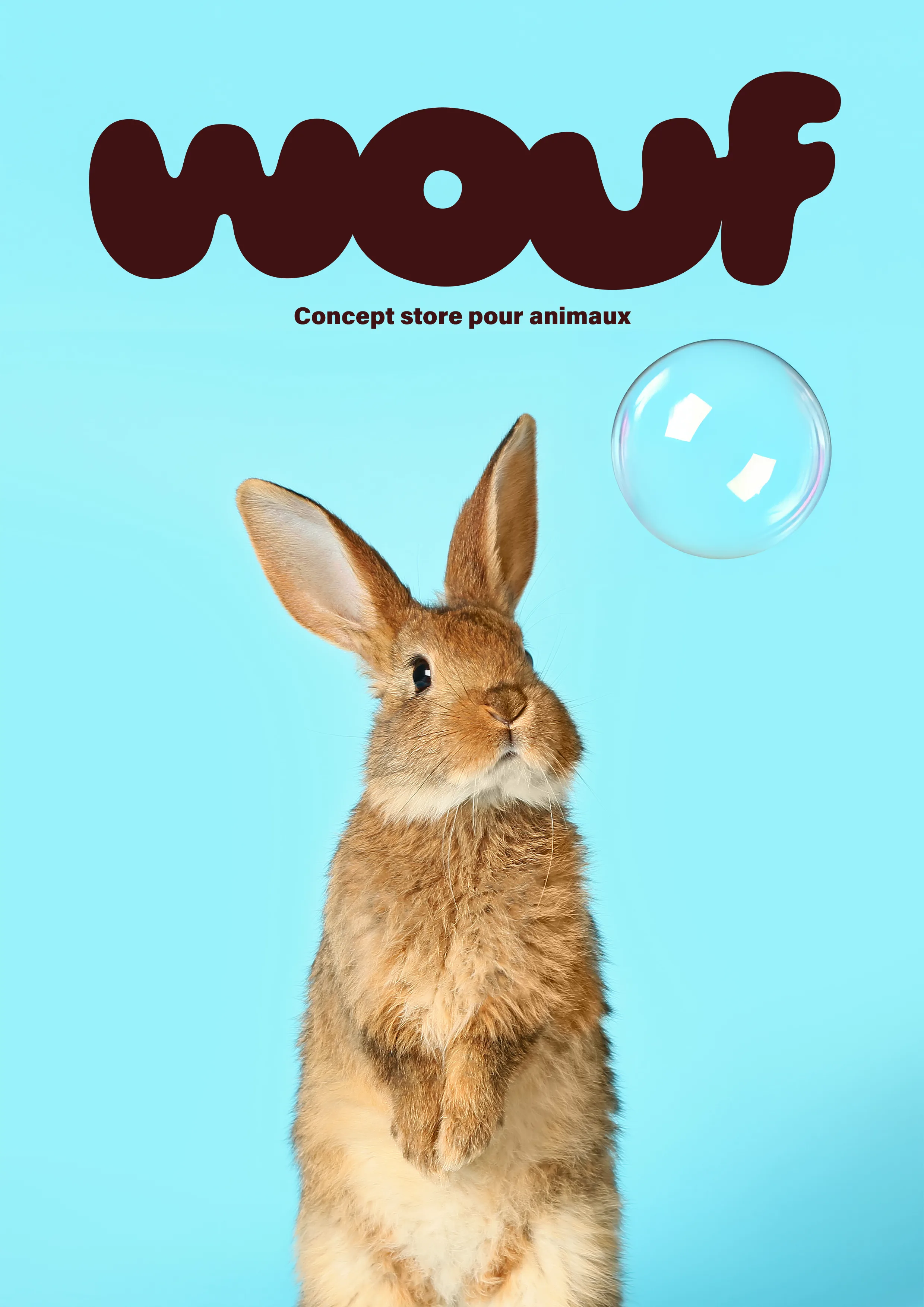 Affiche Wouf lapin